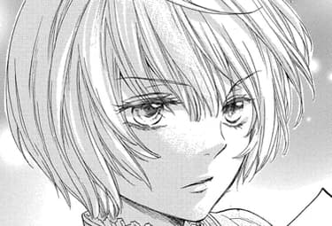 偽りのフレイヤ | マンガPark（マンガパーク）