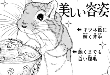 動物のお医者さん マンガpark マンガパーク