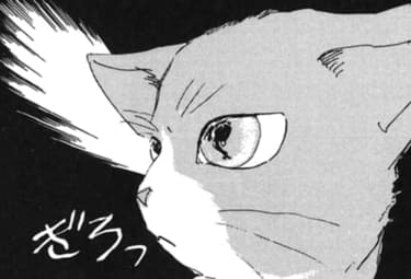 みかん 絵日記 マンガpark マンガパーク みかん 絵日記 マンガpark マンガパーク