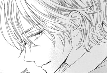 ヴァンパイア騎士 ｍｅｍｏｒｉｅｓ マンガpark マンガパーク